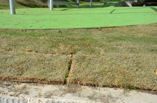 Príbeh trávnika na Námestí slobody