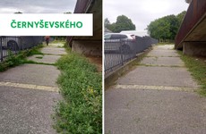 Petržalka, podnety, opravy