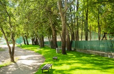 Veľký Draždiak, tráva