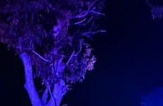 Nehoda, Hrubá Borša, Senec