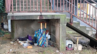 Problém Bratislavy v zime: Ľudia chcú kŕmiť vtáky či mačky, pribúdajú však potkany