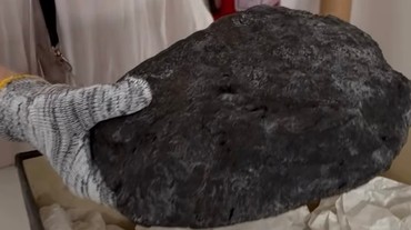 Archeologický unikát: Na nádvorí Starej radnice vystavujú devínsky chlieb starý 1500 rokov