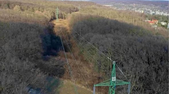 Na úpätí Devínskej Kobyly majú pre elektrické vedenie vyrúbať les na ploche veľkej ako 16 futbalových ihrísk