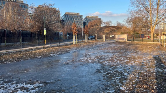 Psie výbehy v Petržalke: Treba sa zmieriť s tým, že budú pár mesiacov v roku nepoužiteľné?