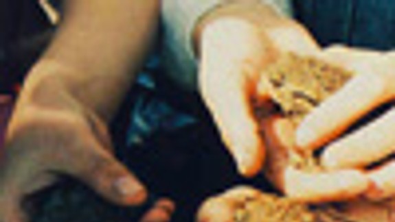 Na Železnej studienke pomáhajú ropuchám