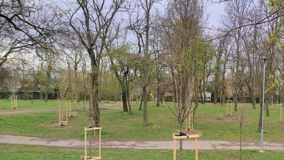 V rámci revitalizácie Vrakunského lesoparku sa vysadilo 142 kusov drevín