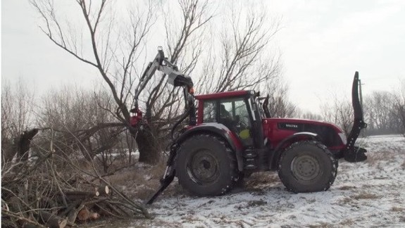 VIDEO: Bratislavskí ochranári orezávali staré vŕby, aby stromy neodumreli...