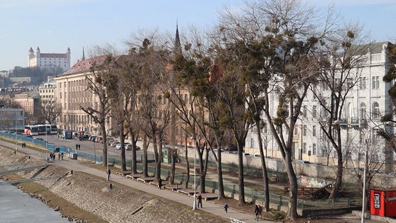 FOTO: Imelo trápiace stromy na nábreží je preč