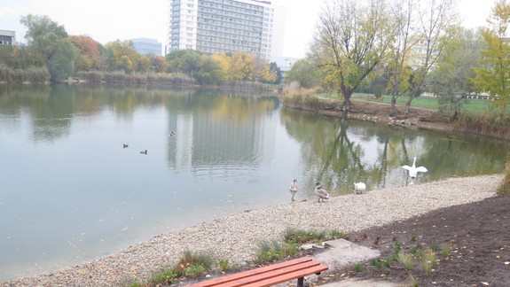 Hasiči zasahovali: Do jazera Rohlík spadol muž