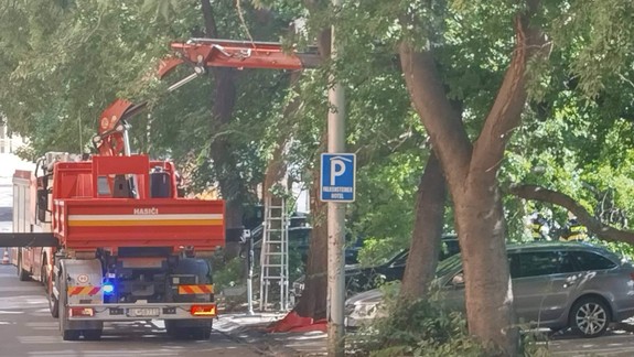 Mohlo prísť k tragédii: Na Pilárikovej spadol na zaparkované BMW mohutný konár