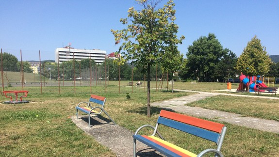 V Rači realizujú pasportizáciu stromov, košov i lavičiek
