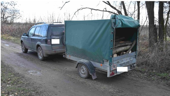 Seneckí policajti vyšetrujú krádež dreva z lesnej pôdy - Karol si ho domov už odviezť nestihol...