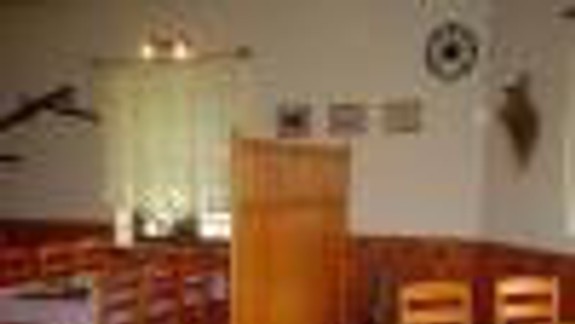 Pod dubom uvaria asi naozaj všetko