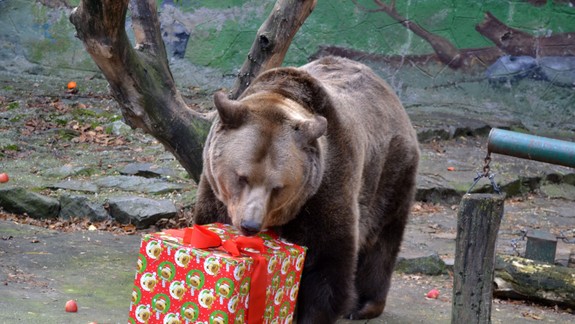 FOTO: Mikuláš príde už túto nedeľu do ZOO a pozýva tam aj všetky dobré deti