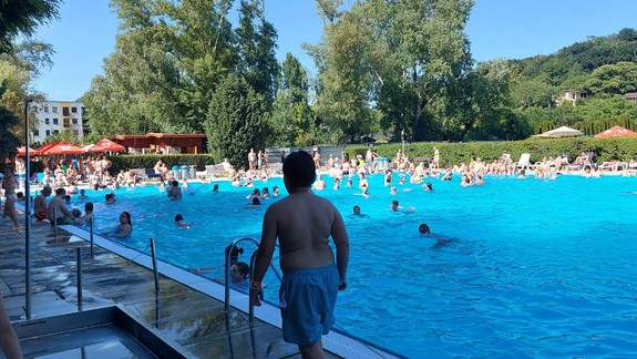 Na Rosničke sa bude konať plavecký maratón. Zapojte sa aj vy