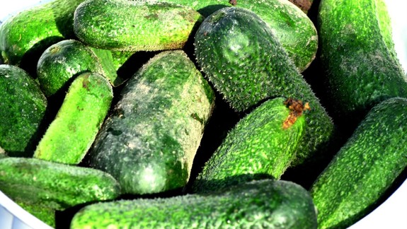 Radíme: Uhorky obsahujú mnoho vody, sú vhodné na hydratáciu tela i pokožky
