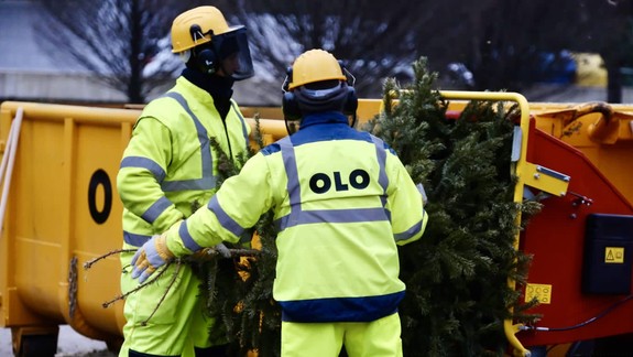 Z ohrádok zatiaľ odviezli vyše 30-tisíc stromčekov, vo februári bude druhá mulčovačka