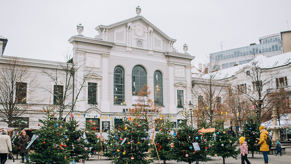 Vedci upozorňujú na to, že ihličnany zo slovenských lesov enormne ubúdajú