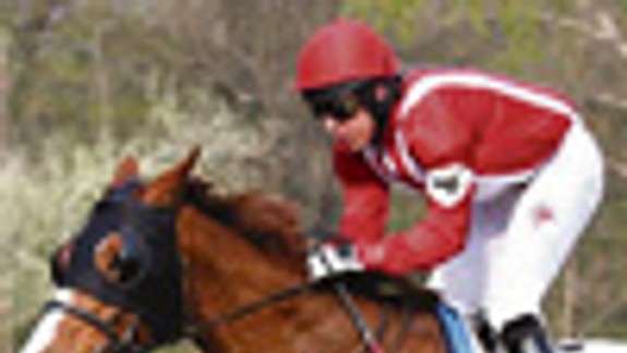 Privítali by, keby ľudia skúsili aj tipovať