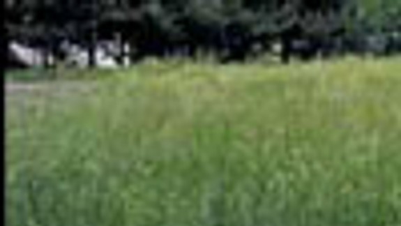 Márne čakajú, kto pokosí trávu medzi panelákmi