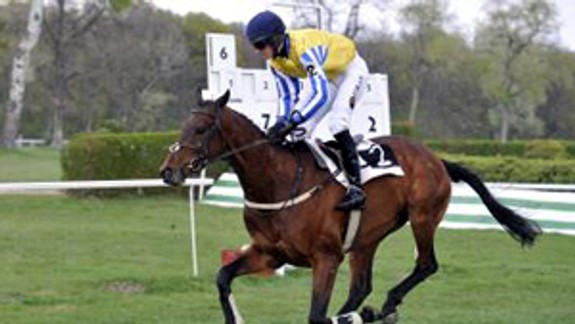 Jarná cena Petržalky pre domáceho hnedáka Bodygarda