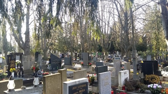 Koronavírus: Pohrebov sa môžu zúčastniť výlučne blízke osoby