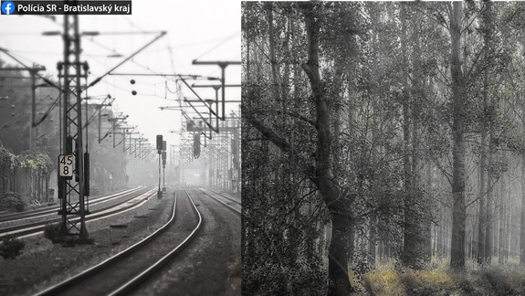 Tragická nedeľa: Muža našli obeseného v lese a ženu zrazil vlak...