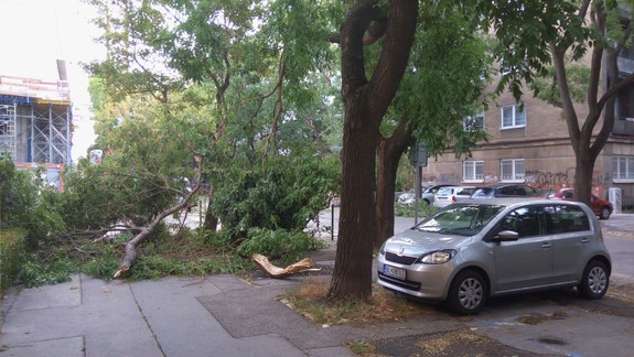 Bratislavu opäť potrápi vietor: SHMÚ vydal na dnes výstrahu prvého stupňa!