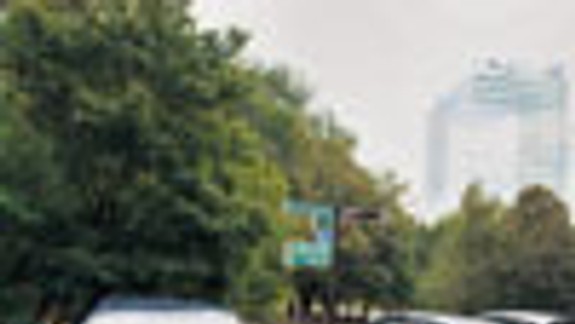 Psy z celého sveta osrali park a nábrežie