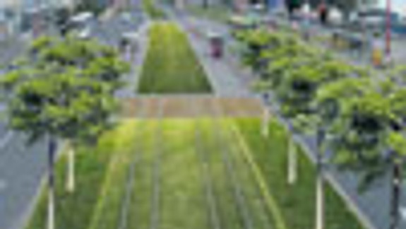 Aby sa zeleň stala súčasťou komunikácií