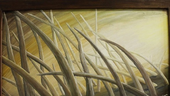 Pomôcť obrazmi? Dúbravka organizuje benefičnú výstavu