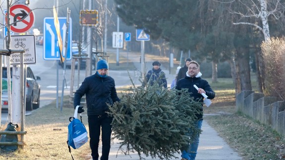 Vianočný stromček v kvetináči! Zvoľte ekologickejšiu alternatívu