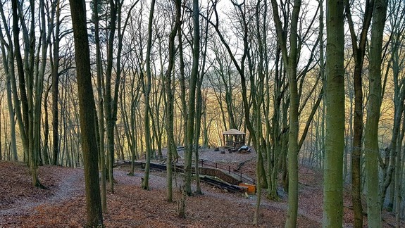 Mestské lesy neodporúčajú pre vietor návštevu lesoparku