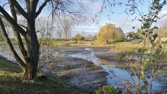 Rybník v Devínskej Novej Vsi by sa mohol opäť využívať koncom leta