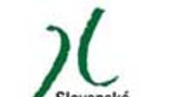 Galéria Satelit predstaví dizajnové návhy študentov