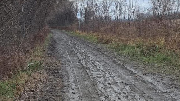 Katastrofálny stav medzinárodnej cyklotrasy za Devínskou Novou Vsou: Vodohospodári reagujú