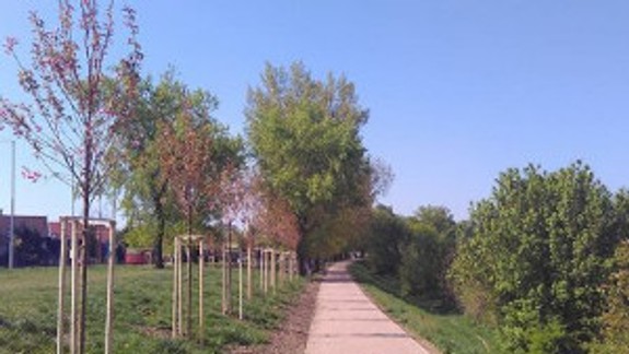 Promenáda pri Malom Dunaji je opravená