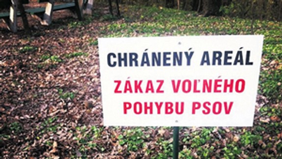 V Horskom parku je zakázaný voľný pohyb psov
