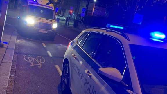 Mestskí policajti pomáhali namol opitej zranenej žene s malým dieťaťom