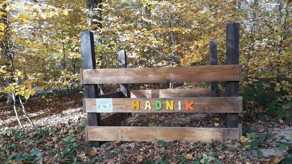 FOTO: V Mestských lesoch postavili hadník - viete, čo to je a ako vyzerá?