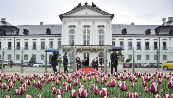 Záhradu Prezidentského paláca zdobí novovyšľachtená odroda tulipánov