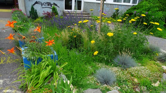 Obľúbená adopcia opustených kvetináčov v Karlovej Vsi pokračuje