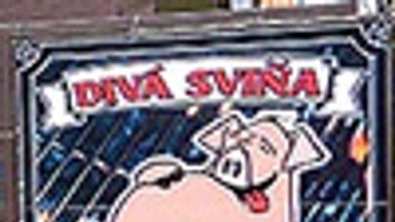Divá sviňa ponúka aj pečené prasiatko