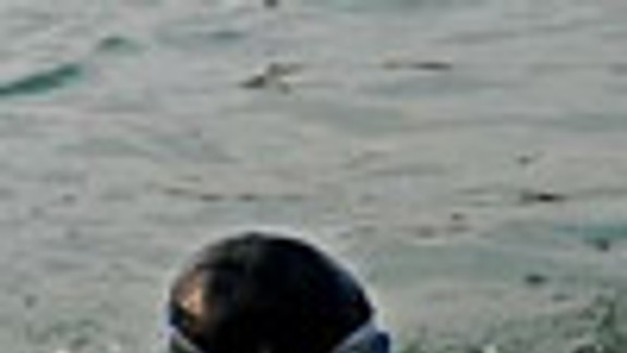 Ľadové medvede sa okúpali pri teplote -3 stupne