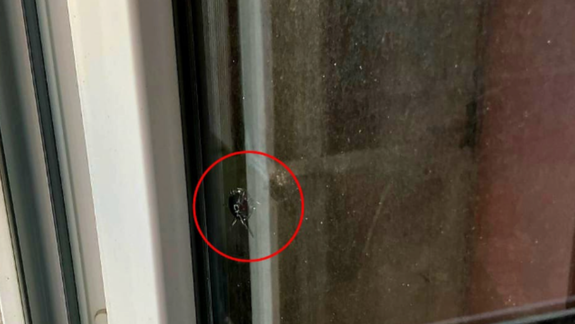 Polícia našla na jednom z bytov v Petržalke otvor veľkosti približne dva milimetre: Udalosť vyšetruje