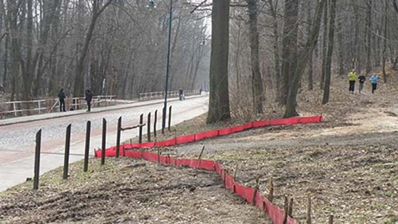 Dobrovoľníci budú v sobotu pomáhať pri migrácii ropúch