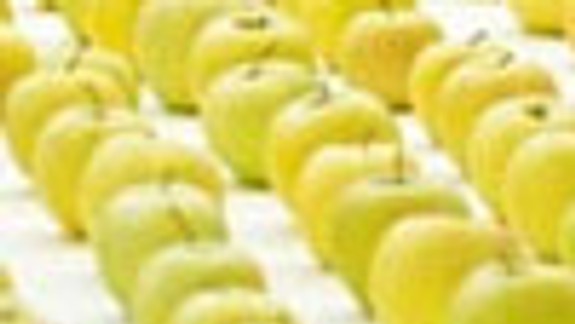 Pestovatelia pozývajú na prehliadku