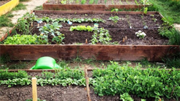 Krasniansky zelovoc v noci na pondelok zničili vandali