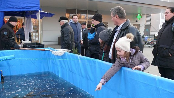 FOTO: Už máte doma vianočného kapra alebo sa ho ešte len chystáte kúpiť?