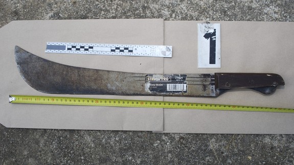 Dráma v uliciach: V centre Bratislavy útočil muž s mačetou